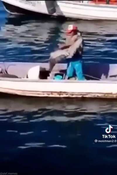 Emotional support pelican