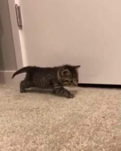 The littlest attack