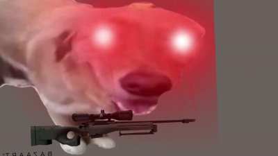 Dont mess with butter dog
