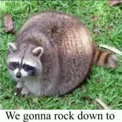 Rule
