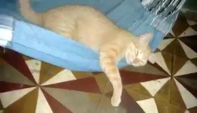 Dessa vez n&atilde;o &eacute; bluezao gemendo ou Goku comendo vegeta, &eacute; simplesmente o melhor v&iacute;deo q encontrei hoje! Tenham uma boa noite ! Durmam q nem o Janu&aacute;rio!