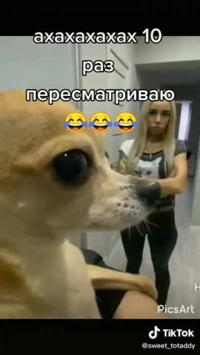 Хорошая деградация +