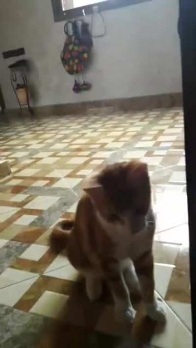 A visitor