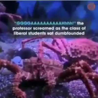 Take this you ass wipe leftists 🤬😤😈
