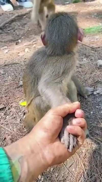 Oh You not my man