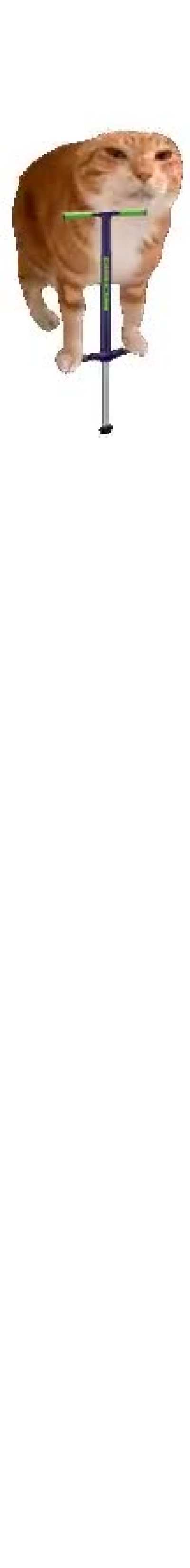I love this stupid gif