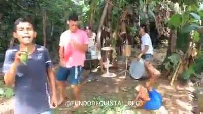 Brazilian folk punk