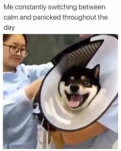 me_irl