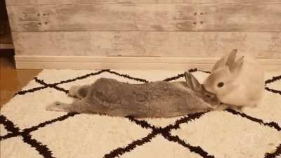 Bunnehs Rule