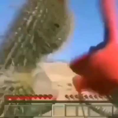 A holy compilation