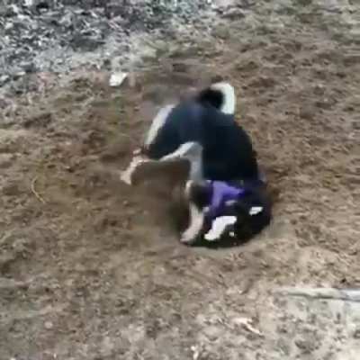 Derping Digger
