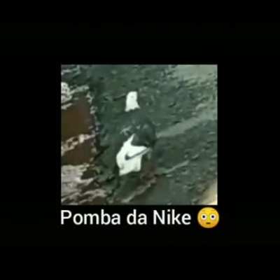 Pomba da nike irm&atilde;o