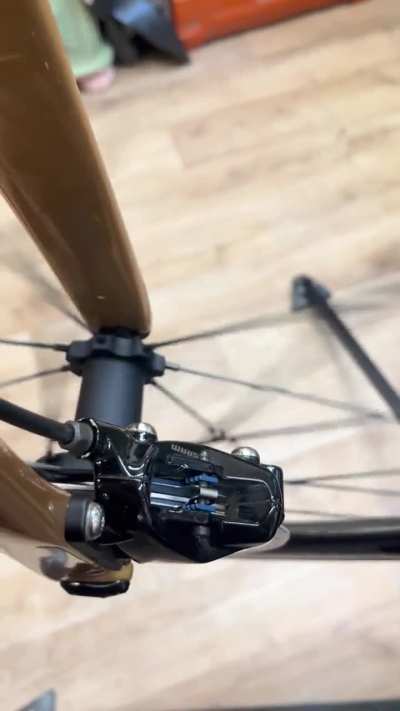 Disc brake squeal