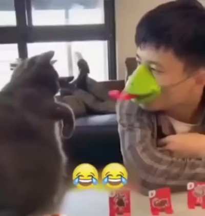 Thanks, I hate... MLEM (I can't stop watching this)