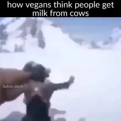 Yes.