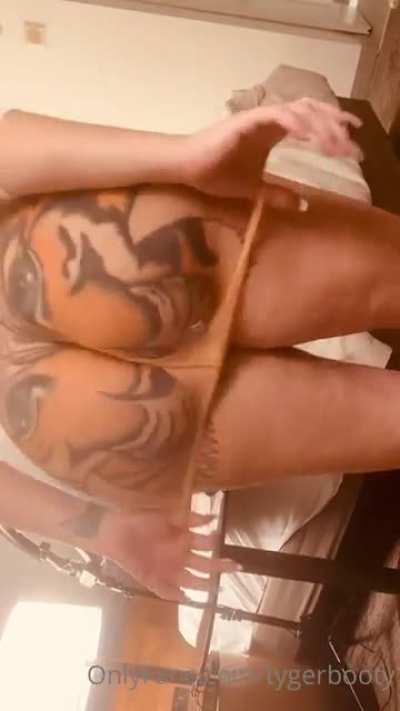 🐅🐅 clap