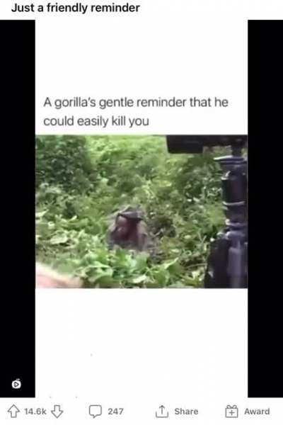 Rule