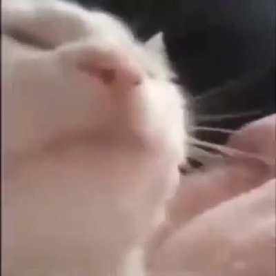 Me when installing a game