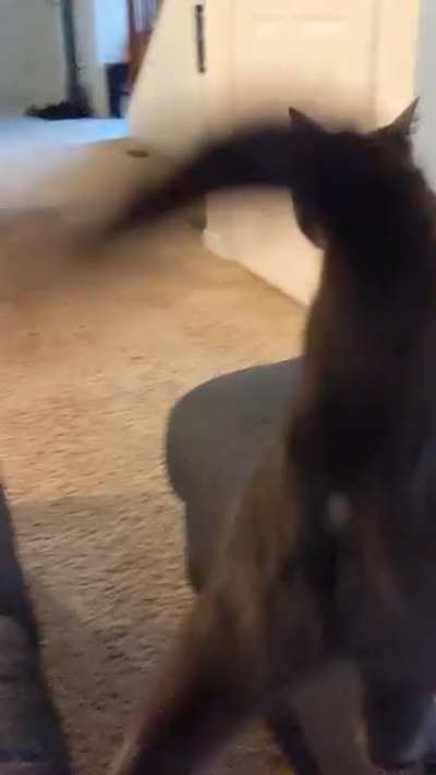Hungry girl screams for dinner