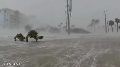 Hurricane Ian turns street into 🌊