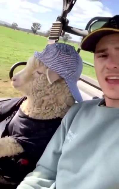 They see me rollin 😂