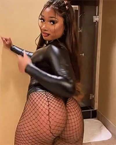 Meg the stallion ð¦ð<wbr>¦ð<wbr>¦ð¦<wbr>ð¦