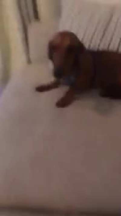 Sausage attack
