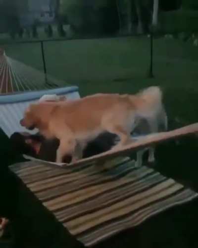 To relax