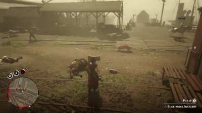 So I randomly picking flowers when suddenly every player and animal on the server teleported to Saint Denis...