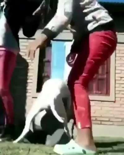 ?Que mierd&aring;&iquest;