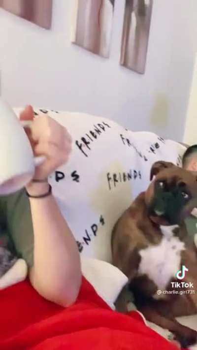 When you annoy your dog.