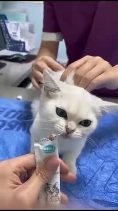At the vet 