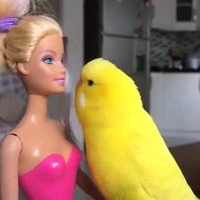 After Stacy left him, Chad returned to the dating market but had some old fashioned ideas about what was appropriate in the workplace. He didn't realize that Barbie was secretly filming his flirtations and he was about to become the poster boy for HR's ne