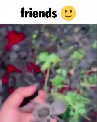 hi part 12