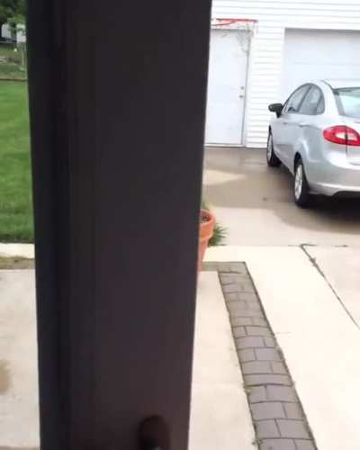 dog thought she was so sneaky when she didn&rsquo;t want to come inside
