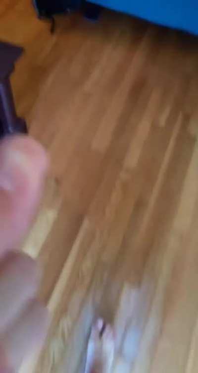 Girlfriend is scared of bugs..