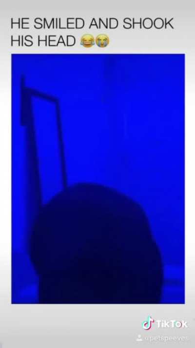 s&iacute;
