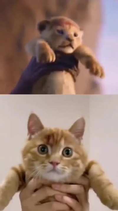 I&rsquo;m not sure if this has been posted here before