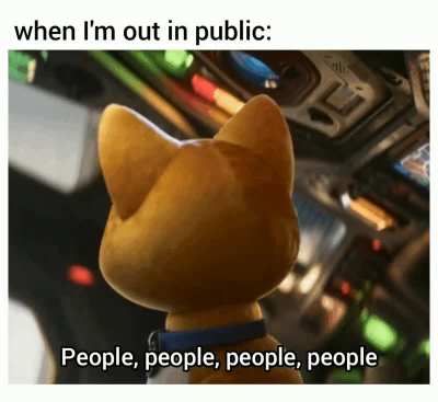 Introvert
