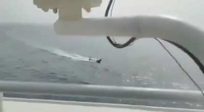 A crew member aboard the Greek-owned bulk carrier "Tutor" films a Houthi naval kamikaze drone attacking the ship. The crew was later evacuated by the US Navy