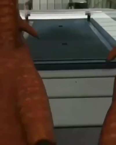 life-sized duck
