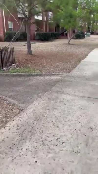 hate it when stupid dog owners let their dog off leash and can&rsquo;t control them