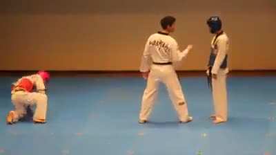 Intense fighting Taekwondo scene.