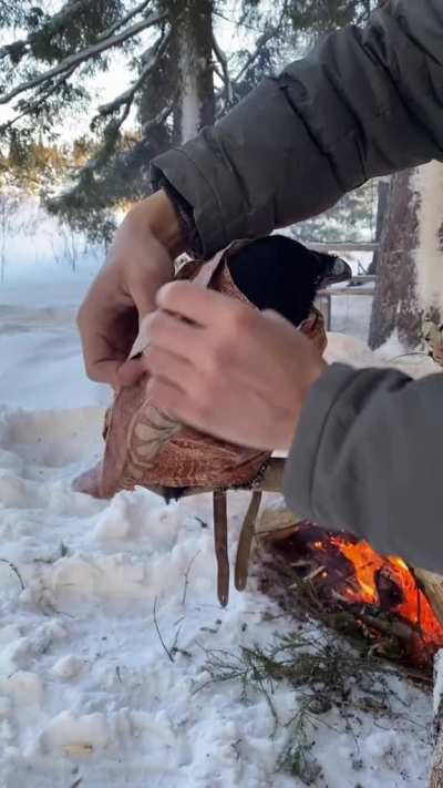 This raven being covered up in a blanket by the fire
