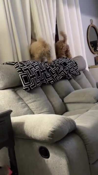 these tails🤗