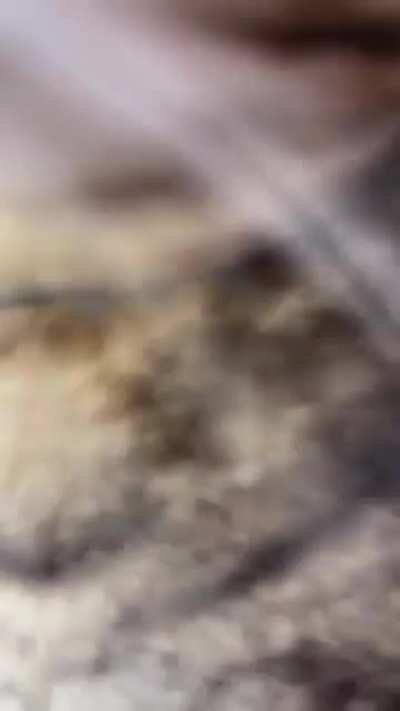 I&rsquo;m ready for my close-up.