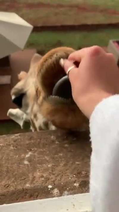 Second story snaccs