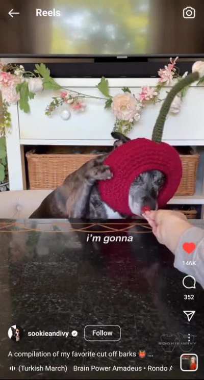 Perfectly Cut Borks