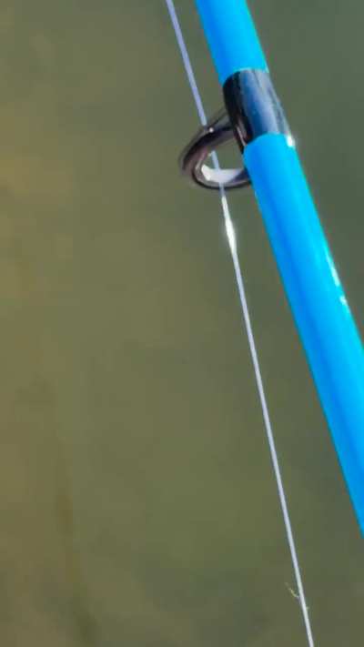 Why isnt the fish biting