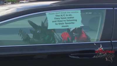 Please don't break the window